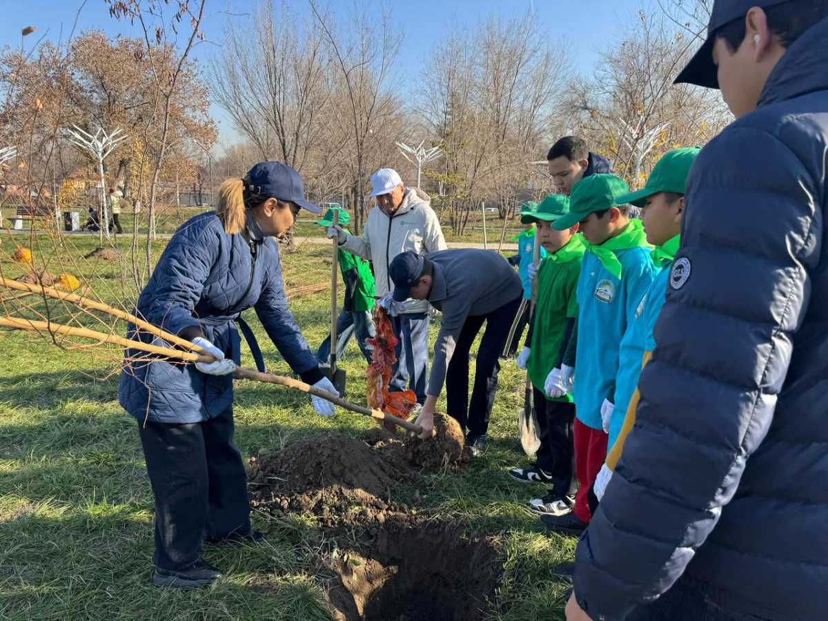 Алматының Наурызбай ауданында жасыл желек отырғызу жұмыстары қарқын алып отыр