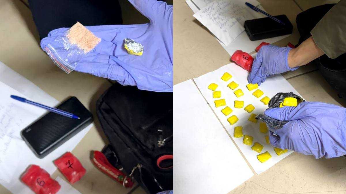 СҚО-да есірткі сатты деген күдікпен астаналық жастар ұсталды