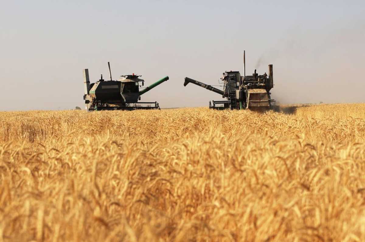 Жамбыл облысында агросекторды дамытуға шамамен 30 млрд теңге субсидия бағытталды