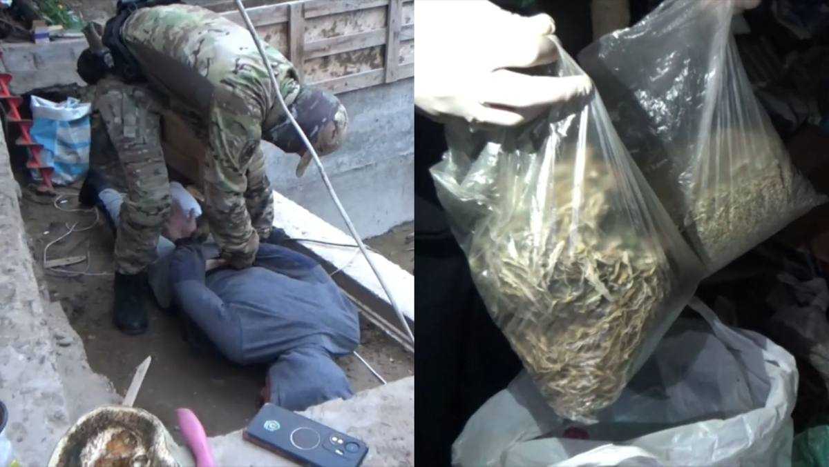 Абай облысында полицейлер 32 келіден астам есірткінің заңсыз айналымын әшкереледі