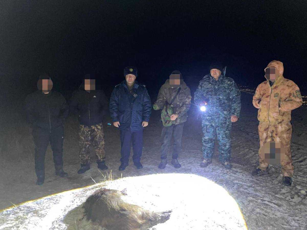Қостанай облысында заңсыз аңшылық фактісі тіркелді