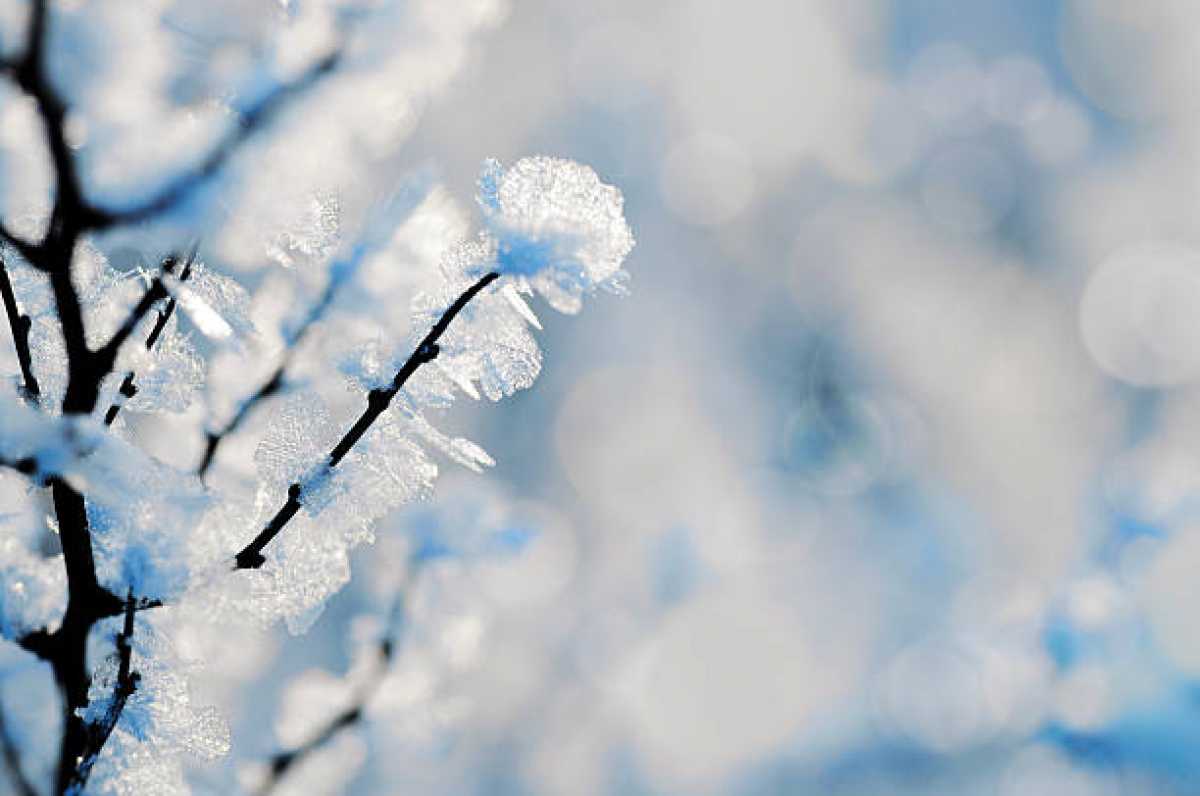 Елімізде ауа райы нашарлайды: жел күшейіп, жауын-шашын түседі