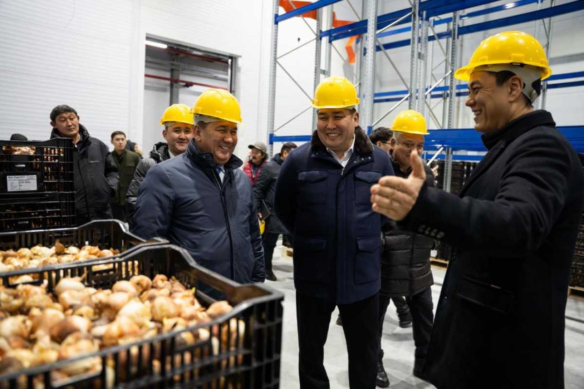 Алматы облысының логистика саласы қарқын алуда