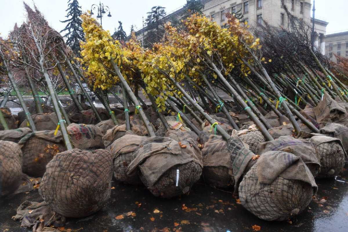Алматыда 2030 жылға дейін қосымша 1,3 млн ағаш пен бұта егу жоспарланып отыр