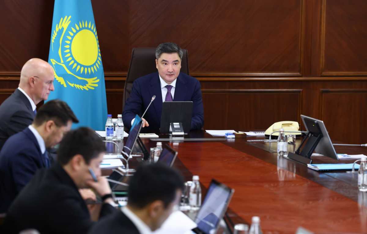 Президент тапсырмаларын жүзеге асыру: Үкімет «Іскер аймақ» шағын бизнесті қолдаудың бірыңғай бағдарламасын ұсынды