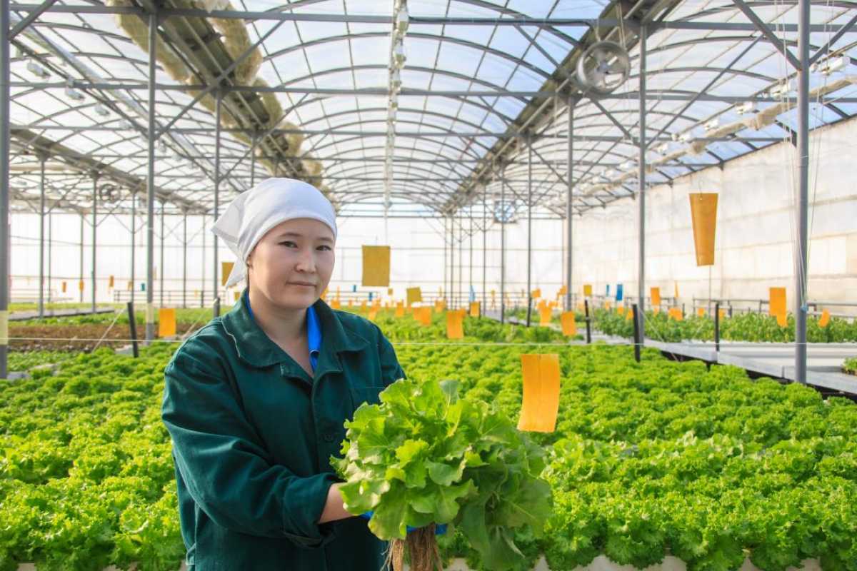 Жетісу облысында шағын және орта бизнес субъектілері өндірген өнім көлемі 15,2%-ға артты