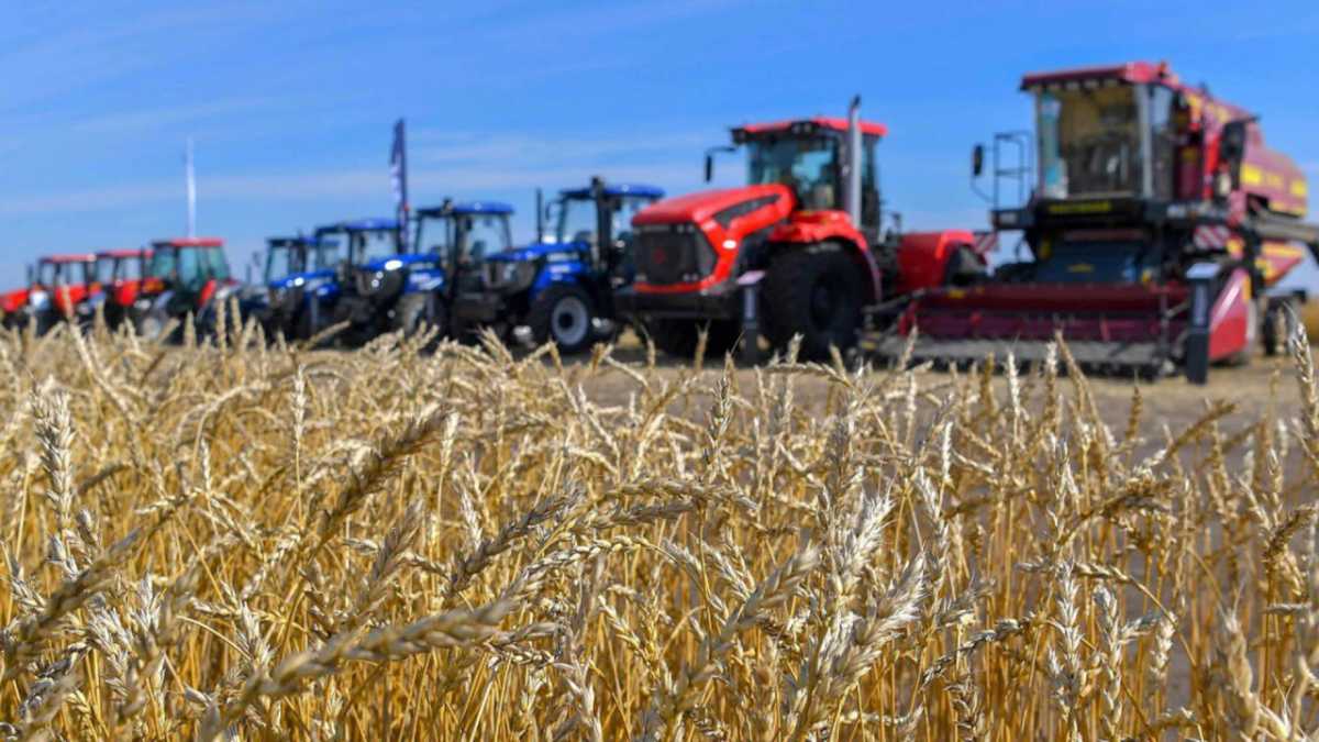 Ауыл шаруашылығы өнімдерінің жалпы көлемі 6,1%-ға артты