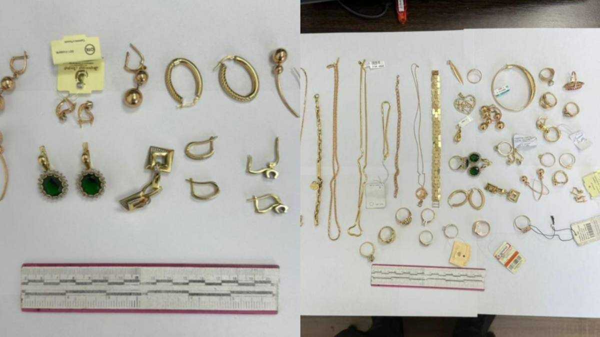 Түркістанда полицейлер 8,5 миллион теңге шығын келтірген ұрлықтың бетін ашты