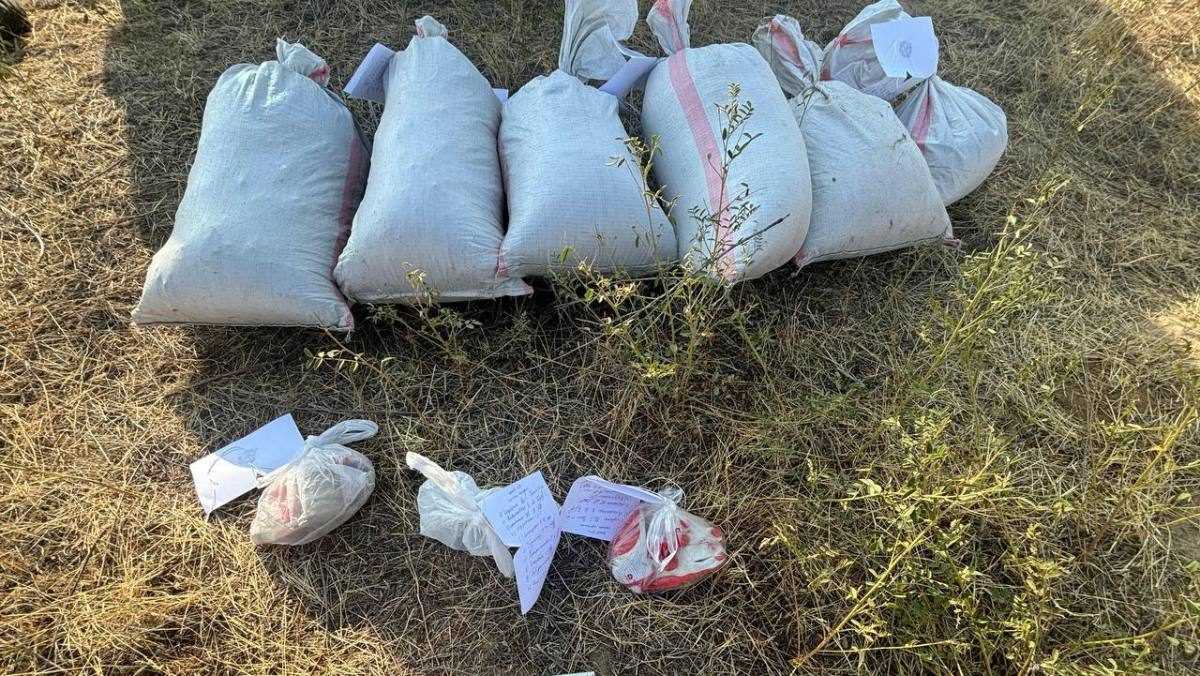 Көлік полицейлері есірткі жеткізу арнасын тоқтатты: ұсталғандарға сот үкімі шықты