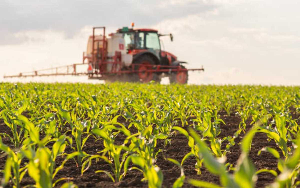 Алматы облысында ауыл шаруашылығын дамытуға қомақты қаржы бөлінді