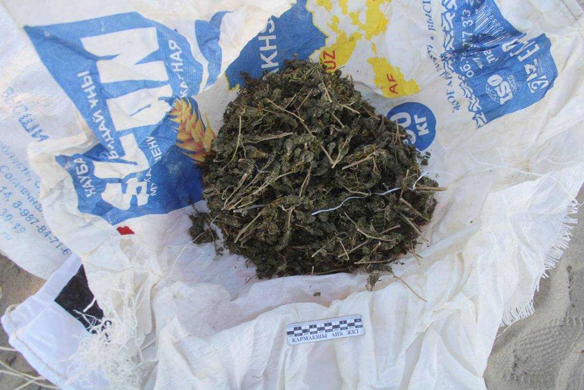 Қызылорда облысында өткен жылы заңсыз айналымнан 2 тоннаға жуық есірткі тәркіленді