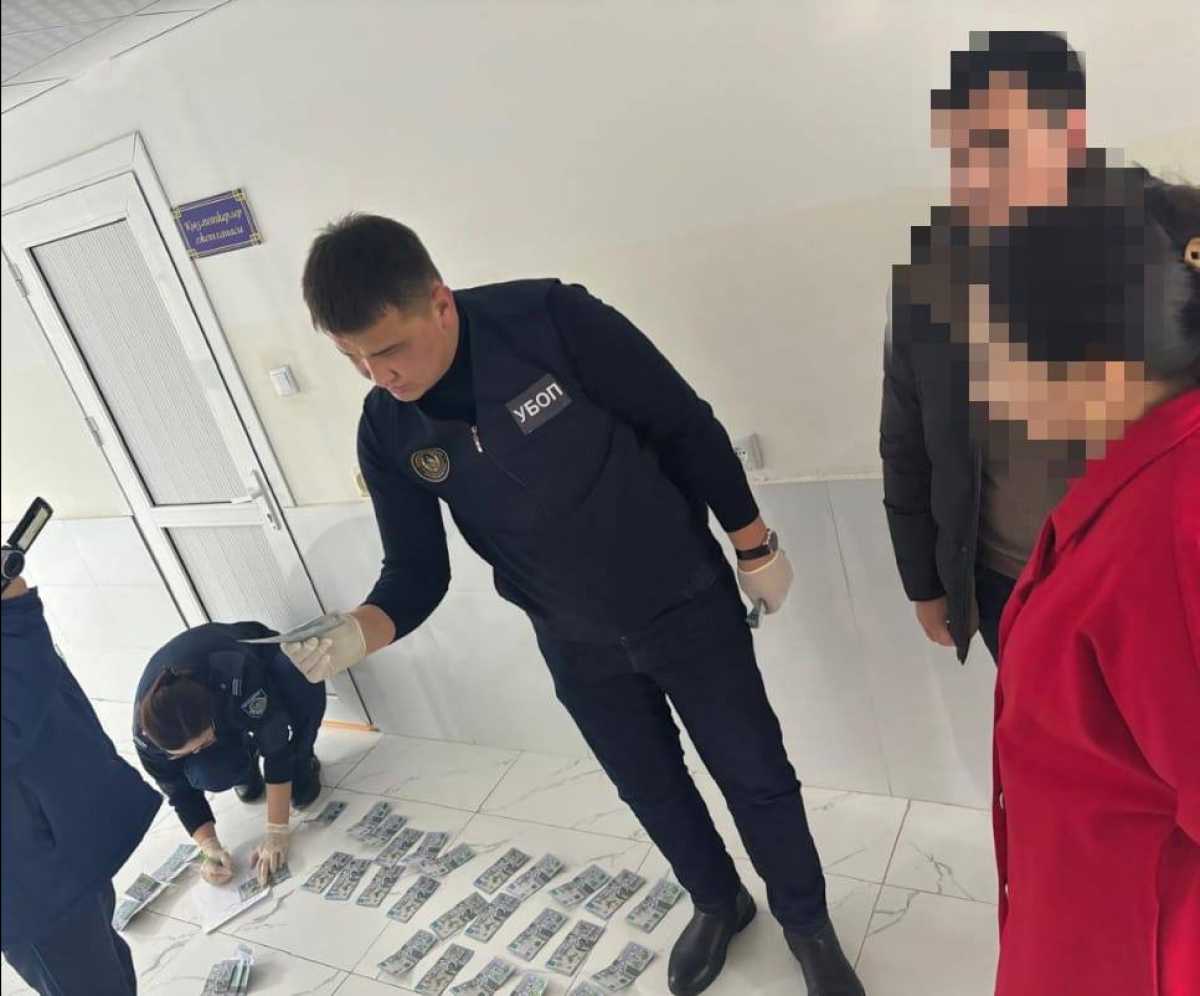 Түркістан облысында емхана басшысынан ақша бопсалады деген күдікпен блогер ұсталды