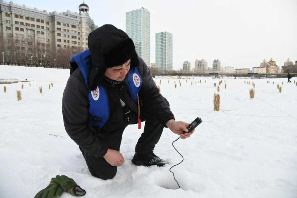 Астанада Есіл өзеніндегі биоалуантүрлілікті сақтау жұмысы жүргізіліп жатыр