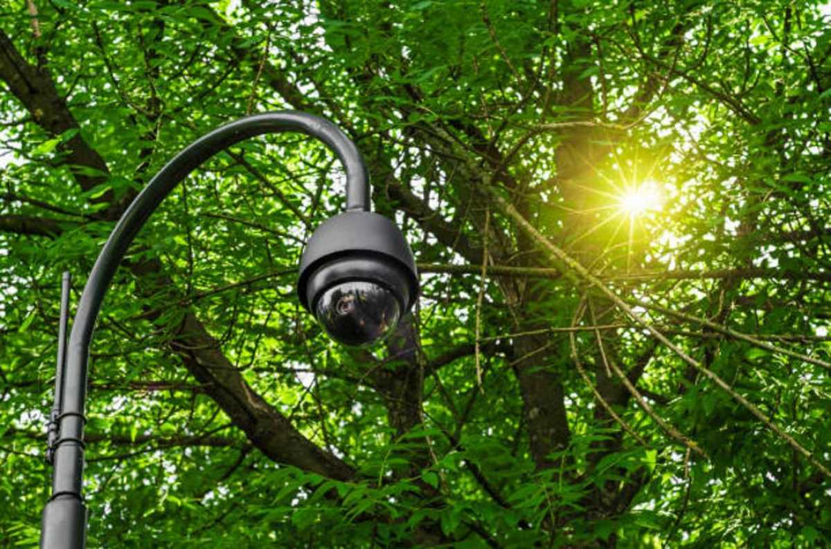 Алматы облысында цифрлық мониторинг орман өрттерін 14 есеге азайтты