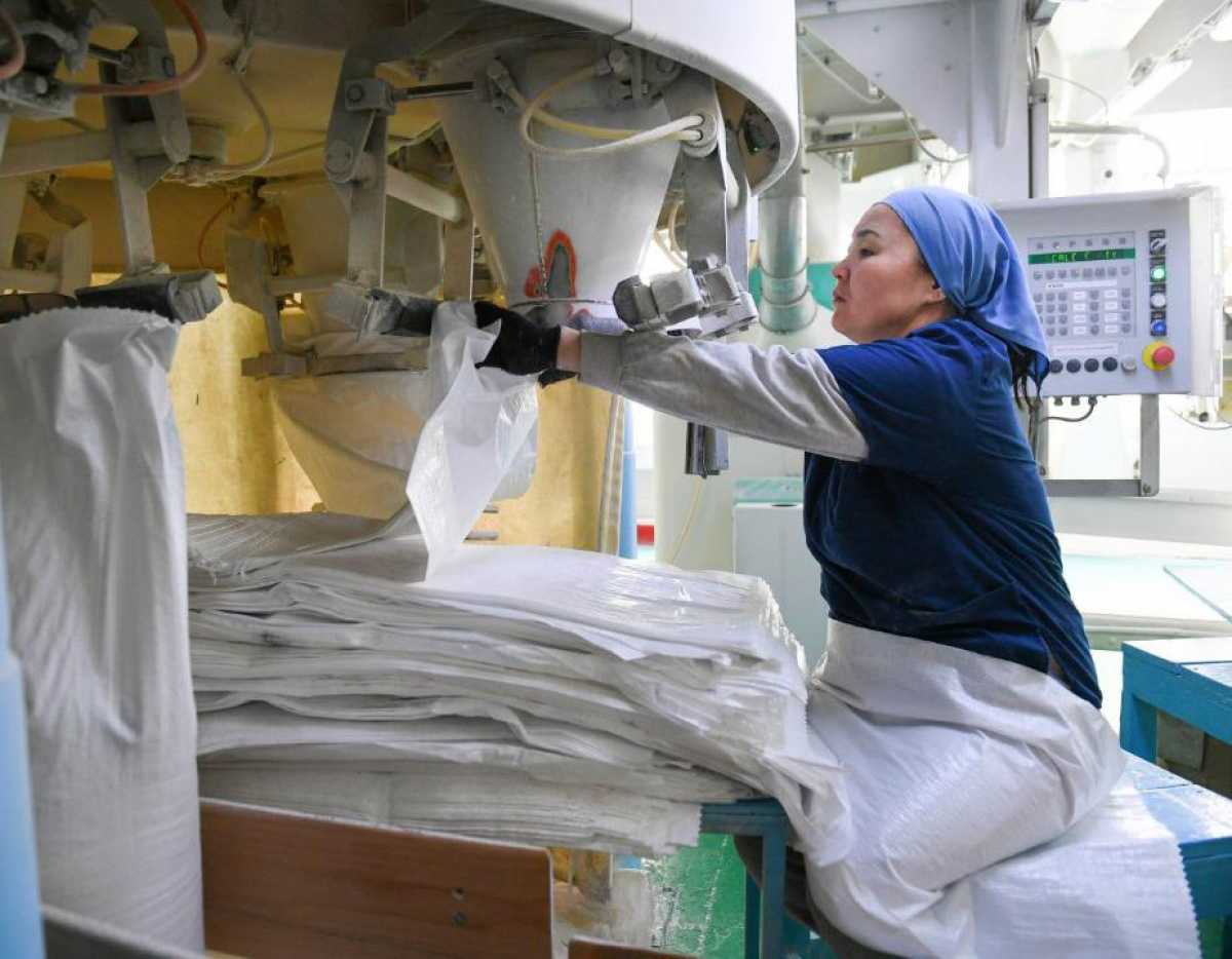 «АзияАгроФуд» мемлекеттік қолдаудың арқасында жүгеріні терең өңдеу қуатын кеңейтуде