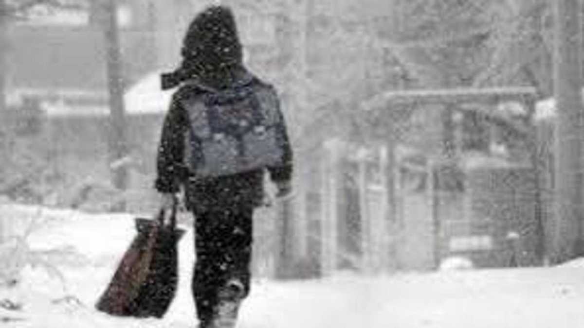 Астанада бірінші ауысымдағы бастауыш сынып оқушылары қашықтан оқиды