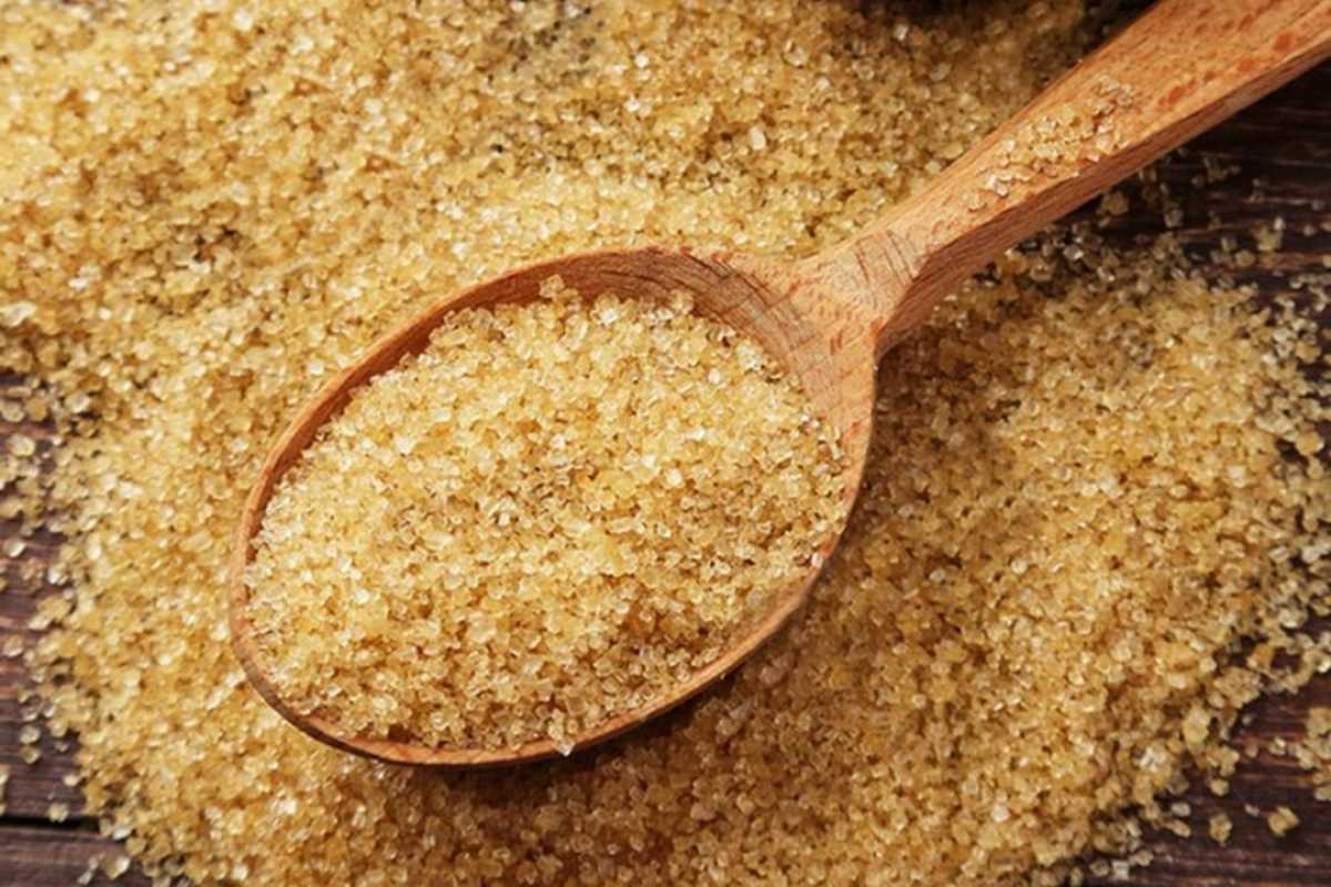 Iskefe Holding желатин мен коллаген өндіретін зауыттың құрылысын бастады