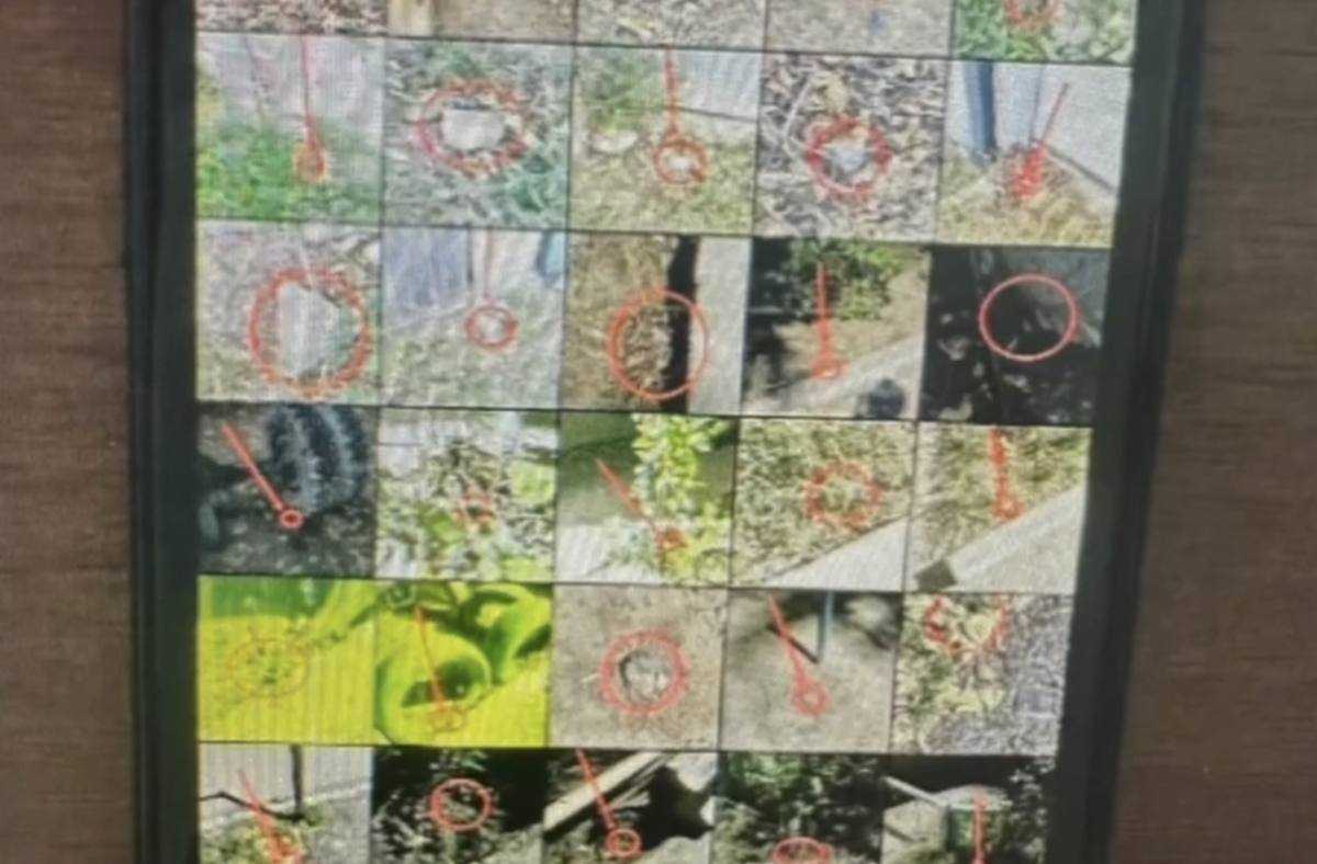 Көлік полицейлері Ақтөбеде психотроптық заттарды өткізу арнасының жолын кесті