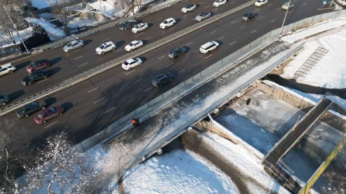 Есентай өзенінде салынатын вело жүргіншілер көпірінің құрылысы аясында 80 ағаш егіледі