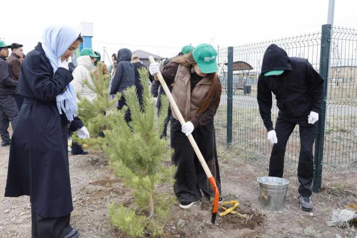 2026 жылы Ақмола облысында 37 экологиялық бастама жоспарланған