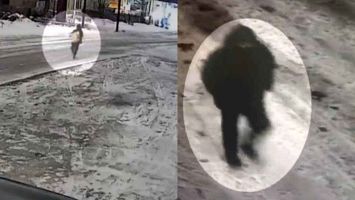 Қарағандыда полиция ірі көлемдегі ұрлықтың бетін ашты