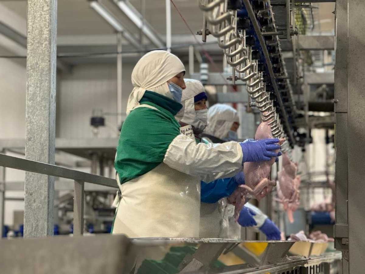 Алматы облысында ірі құс кешені дамып келеді: Chickodelli бренді ішкі нарық пен экспортты қатар күшейтуде