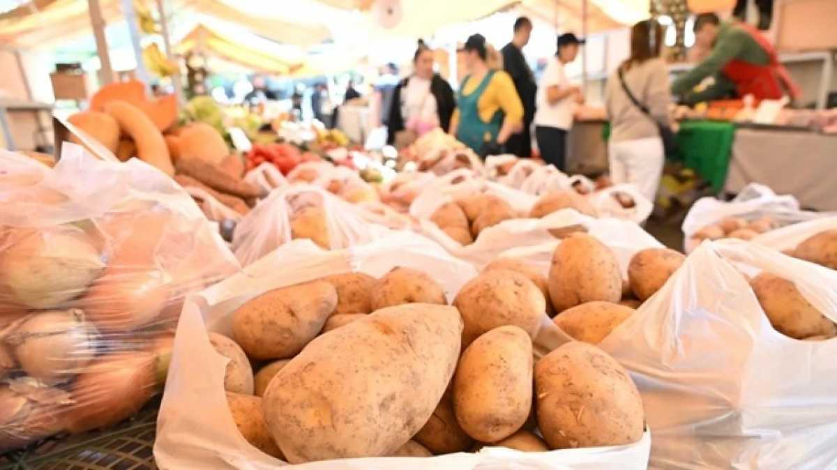 Алматыда демалыс күнгі жәрмеңкелер көбейеді