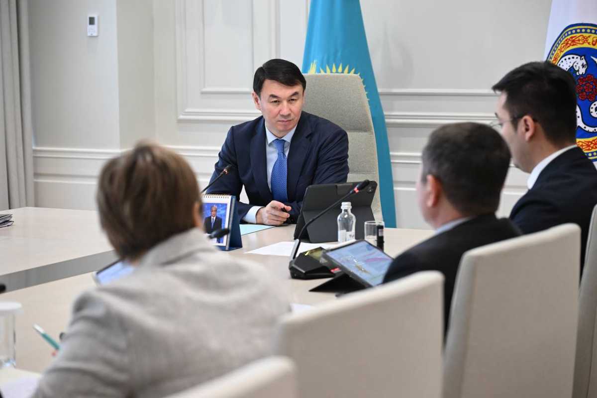 Дархан Сатыбалды электр желілерін жаңғыртуды жеделдетуді тапсырды