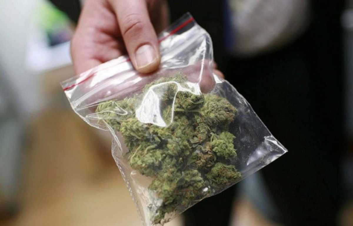 Көлік полицейлері жолаушыдан марихуана тапты: шетелдік азамат жауапқа тартылды