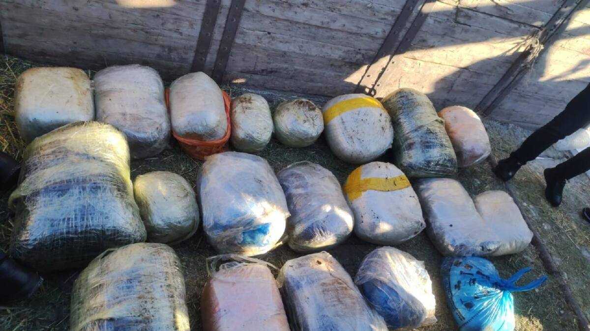 Қостанай облысында 200 келіден астам есірткі тәркіленді