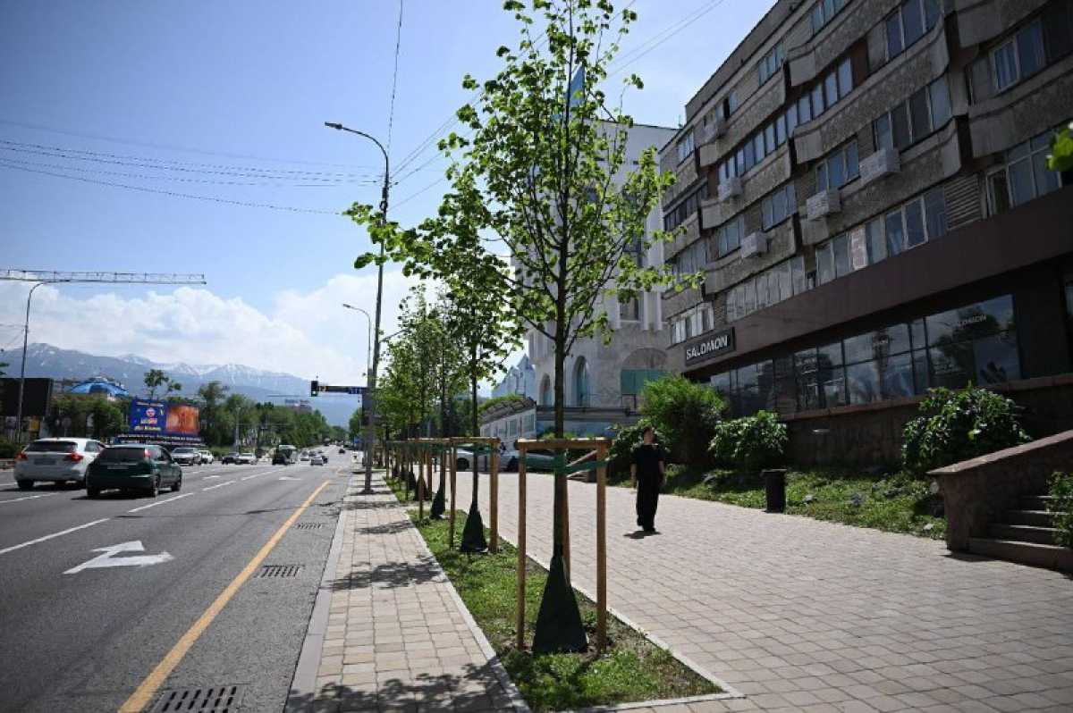 Алматы жасыл қалаға айнала түседі