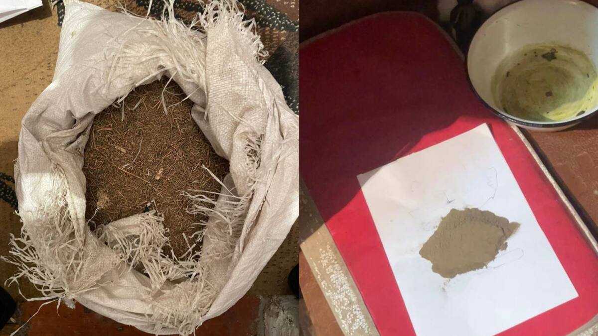 ШҚО-да заңсыз айналымнан 6 келіден астам марихуана мен гашиш тәркіленді