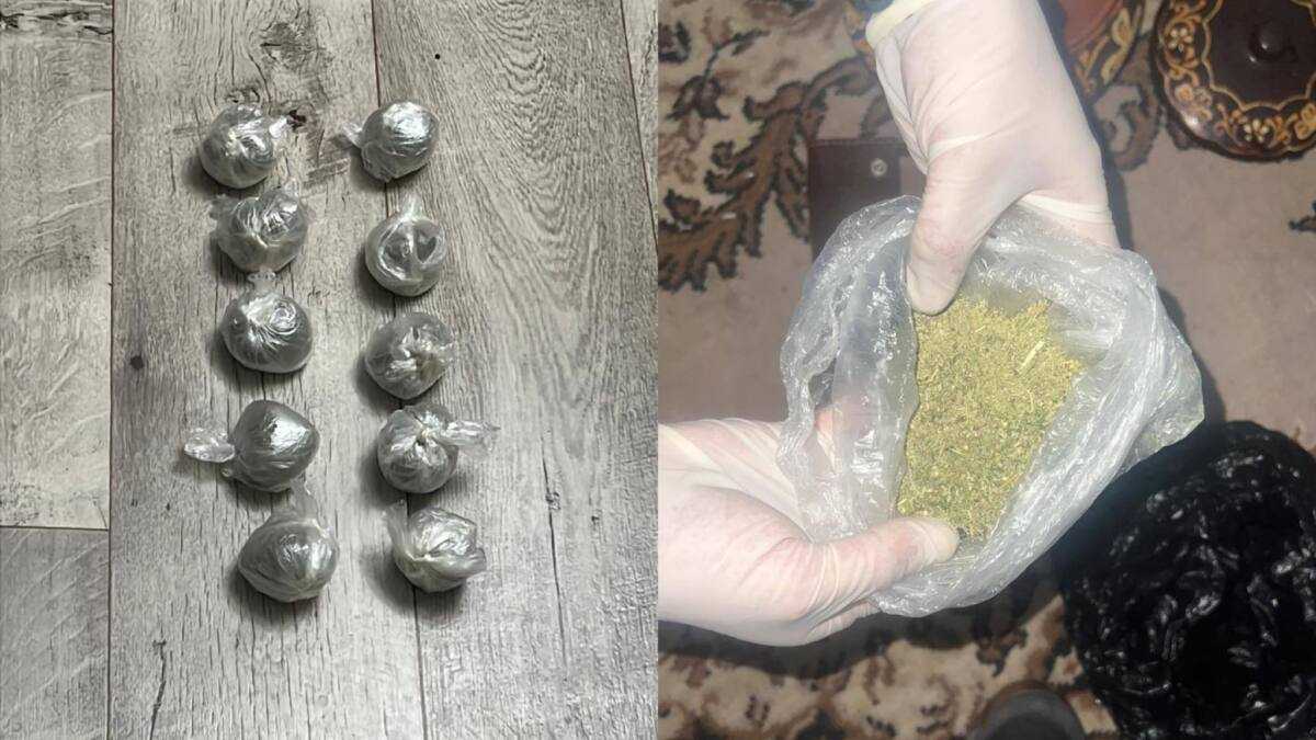 ШҚО-да заңсыз айналымнан бір келіден астам марихуана тәркіленді