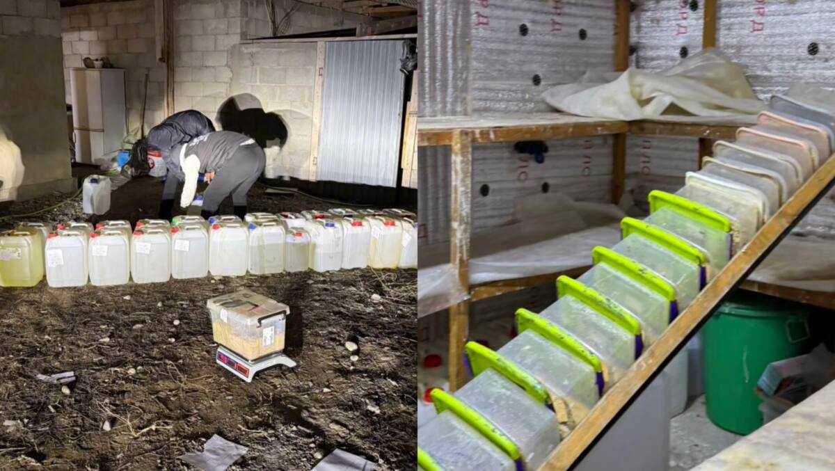 Шымкентке полиция синтетикалық есірткі жеткізу арнасын жойды