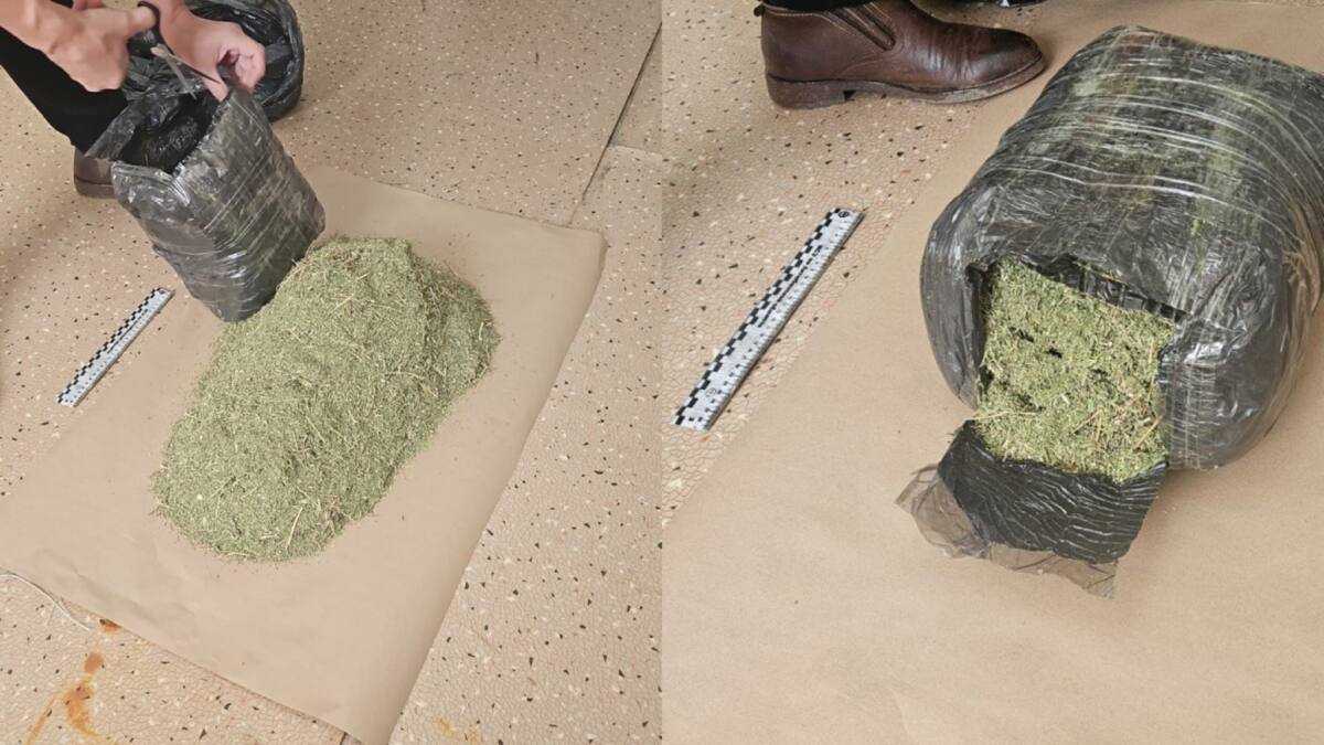 Ақтөбе облысында тұрғыннан 4 келі марихуана тәркіленді