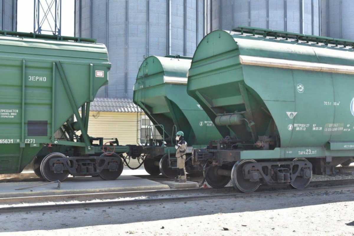 Қазақстан астық жеткізілімін көбейтіп, сыртқы нарықтағы орнын нығайтты