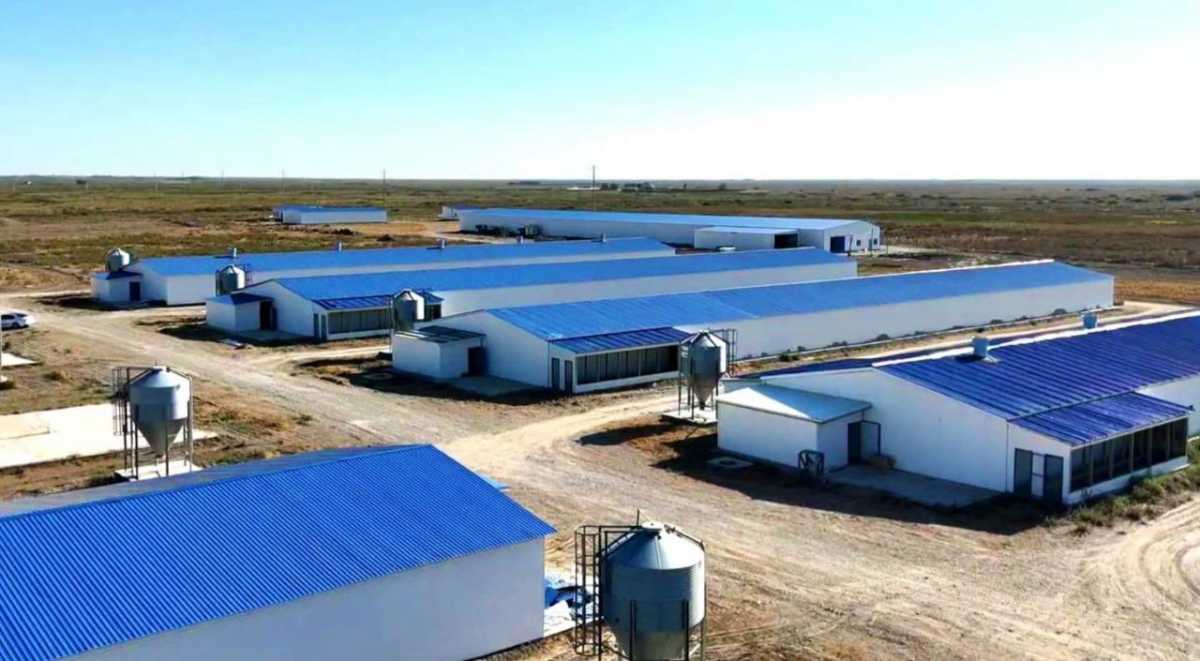 Қызылорда облысында жылына 3,5 мың тонна өнім өндіретін құс фабрикасы іске қосылады