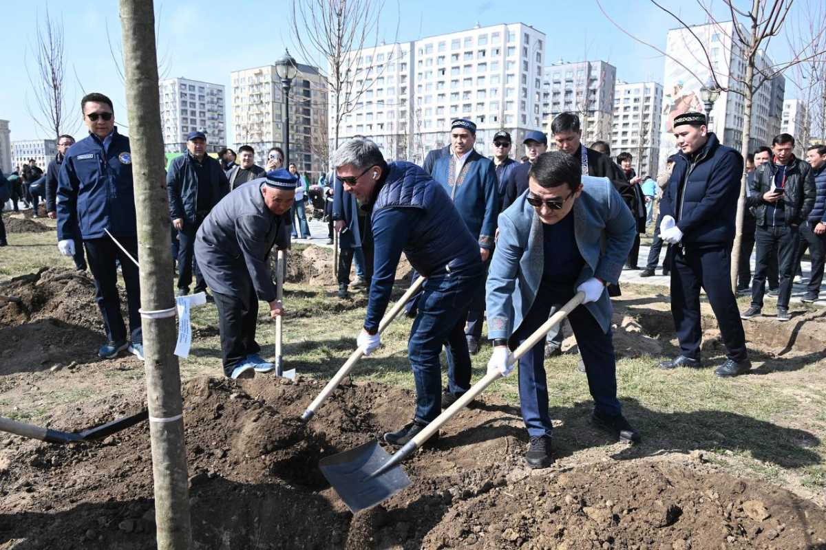 Алматыда 300-ден астам ағаш егілді