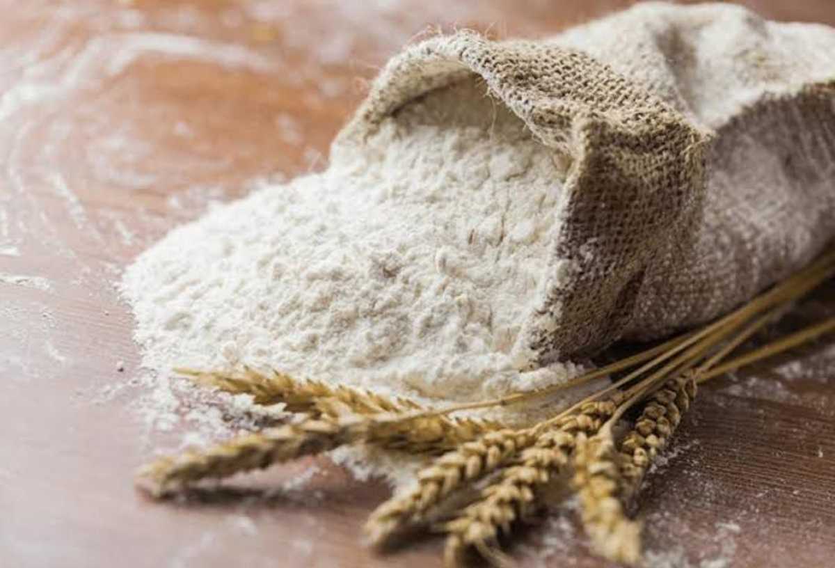 Қостанайдан Нью-Йоркке 24 тонна қазақстандық ұн экспортталды