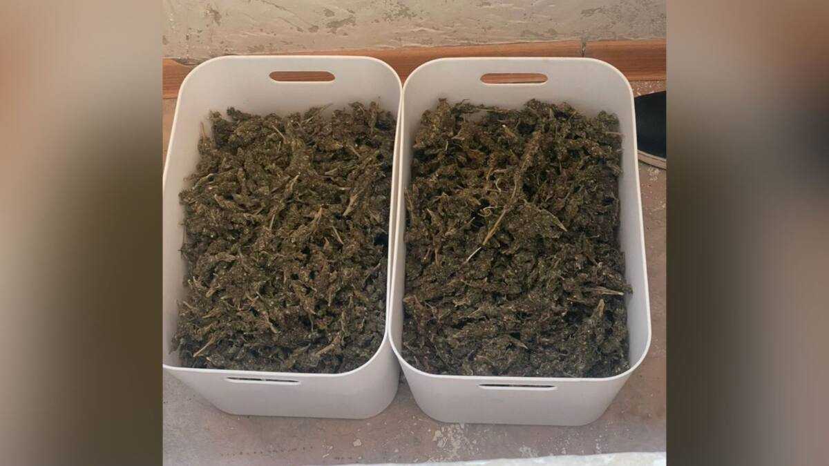 Маңғыстау облысында есірткі қылмысына тосқауыл қойылды