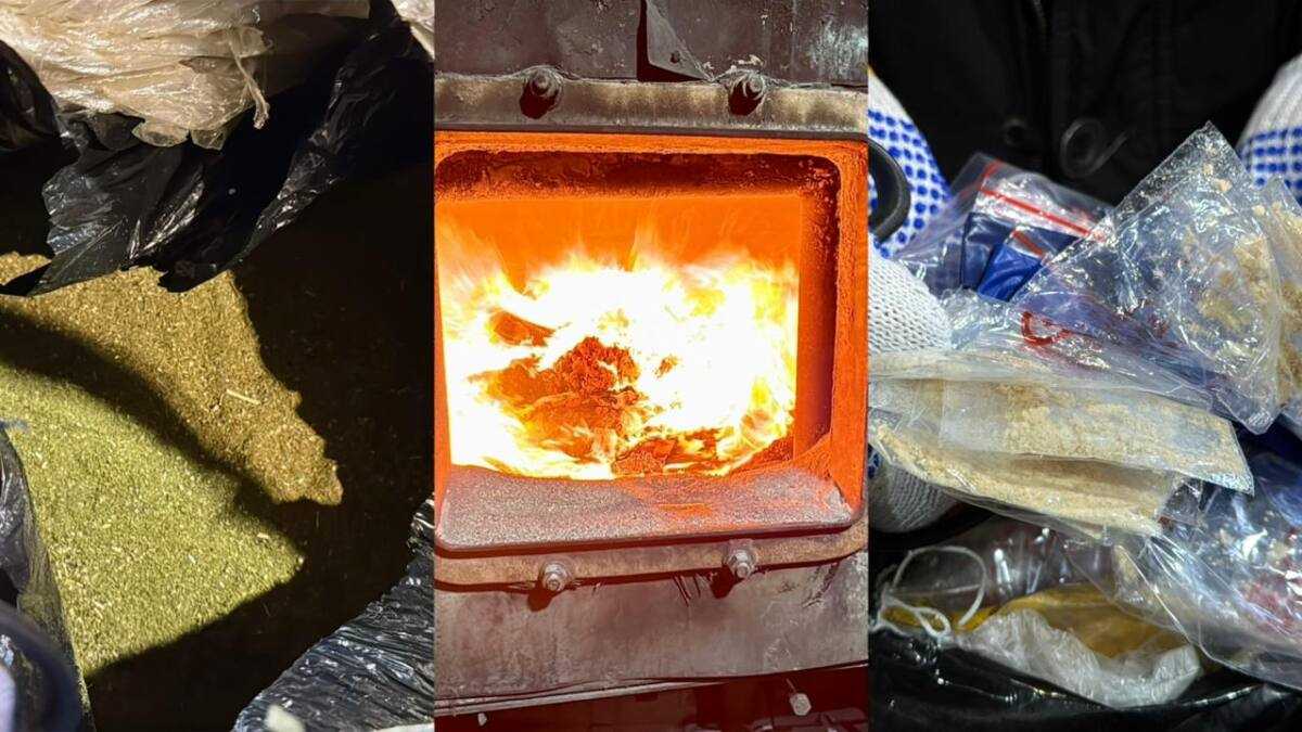 Павлодар облысында 53 келіден астам есірткі жойылды