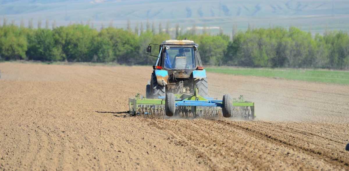 3287 аграрлық сала өкілдері егіс науқанына ерте қаржыландыруға қол жеткізді