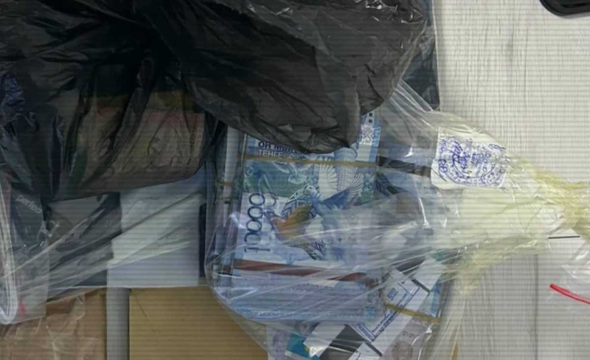 ІІМ Қарағанды облысында бір топ адамның қылмыстық әрекетінің жолын кесті