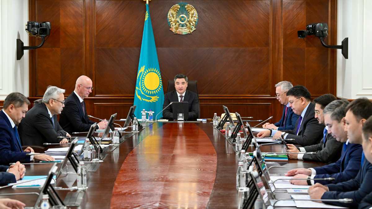 Үкіметте жаңа Конституцияны жүзеге асыру мәселесі қаралды