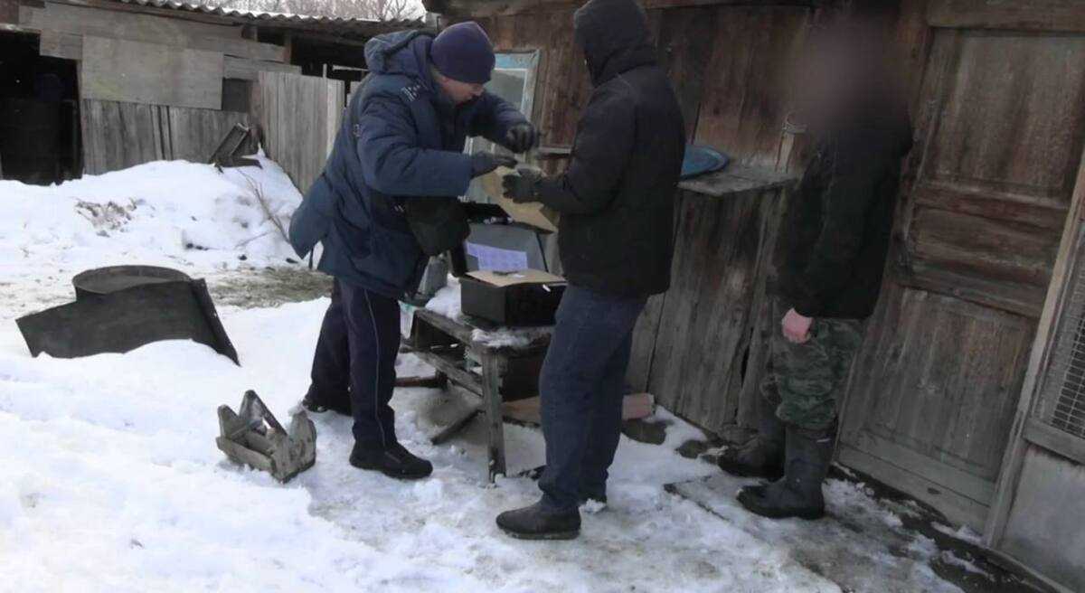 ШҚО-да тұрғыннан 4 келіден астам марихуана тәркіленді