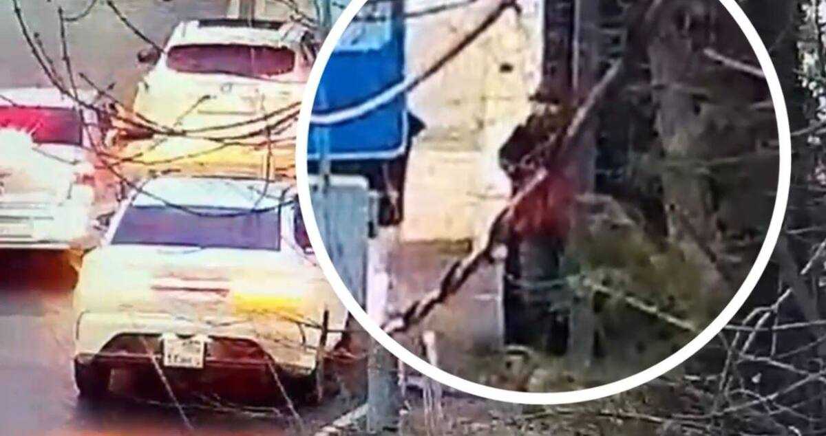 Шымкентте аялдаманы бүлдірген құрбылар жауапқа тартылды