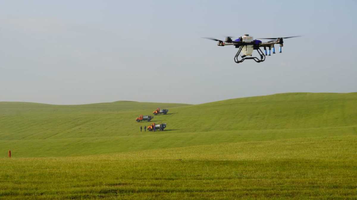 2026 жылы шегірткеге қарсы химиялық өңдеу көлемі 2,2 млн гектарды құрайды