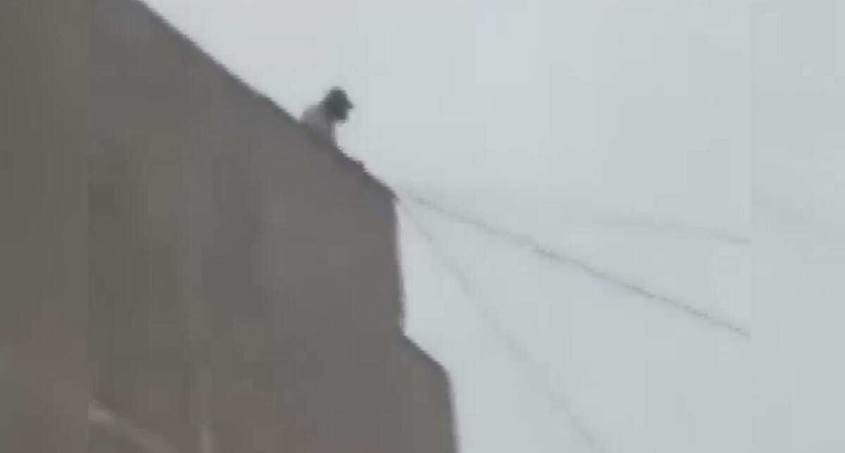 Қарағандыда полицейлер 16 жастағы қызды құтқарып, қайғылы жағдайдың алдын алды