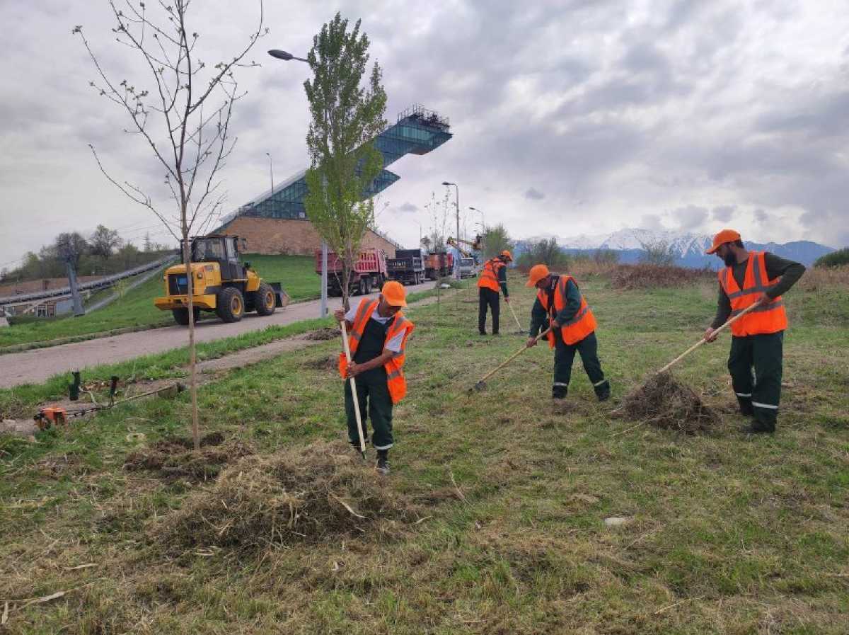 Алматыда трамплин маңында жүздеген тұрғын қатысқан сенбілік ұйымдастырылды