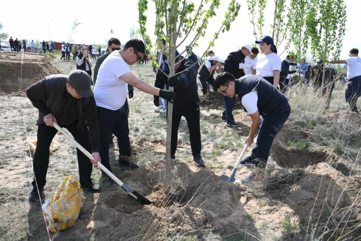 Алматы облысында 30 мың тұрғын сенбілікке қатысты